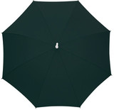 Rumba, automatyczny parasol